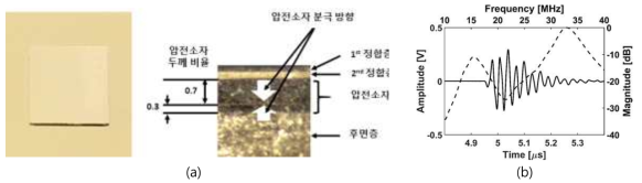 제작된 분극역전 기술을 적용한 소자: (a) 압전소자 사진 (정면도, 측면도), (b) 펄스-반향 실험 결과