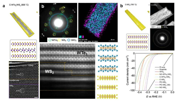 (a) 600 °C와 (b) 700 °C에서 수행된 WTe2의 황화반응에 의해 형성된 WTe2-WS2 이중접합구조