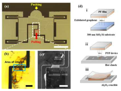 (a) Mechanical in situ 홀더에 사용되는 MEMS chip 및 (b-d) 2차원 물질의 전사법