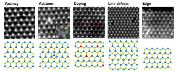 Vacancy, adatom, doping, line defects, edge 등의 2차원 재료의 결함 종류 (위: 원자분해능 STEM 이미지, 아래: 원자 모델)