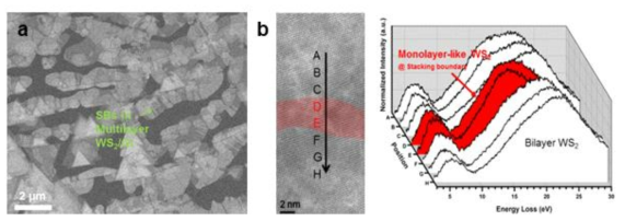 주름이 많은 그래핀 위에 합성된 (a) WS2의 1D Stacking boundary의 HAADF-STEM 이미지와 (b) EELS 분광법을 통해 분석한 Stacking boundary의 밴드갭 변화
