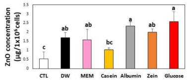 식품 성분과의 상호작용에 따른 산화아연 나노물질의 세포 내 유입량