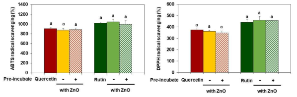 산화아연 나노물질과 기능성 성분의 상호작용에 의한 ATBS 라디칼 소거능(좌) 및 DPPH 라디칼 소거능(우)
