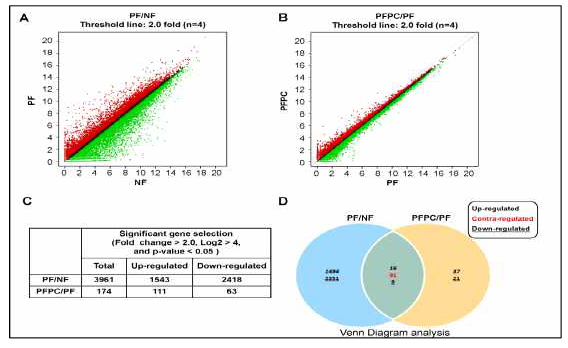 RNA Sequencing 결과, 각 시료 별 발현 변화가 큰 유전자 분석 (NF: 정상 섬유아 세포; PF : PD 유래 섬유아세포; PFPC: PC-NVs 처리된 PD 유래 섬유아세포)