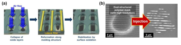 (a) 다공성 고분자 박막 내로 액체 금속이 주입되어 형상화되는 과정에 대한 모식도. (b) 고분자 박막 공극내로 주입되어 800 nm 수준의 구조물을 따라 형상화된 액체 금속의 주사전자현미경 사진