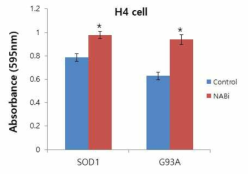 NABi를 이용하여 돌연변이 SOD1에 의해 유도된 세포 독성 완화 검증