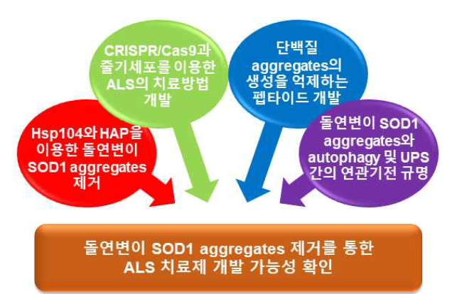 본 연구가 지향하는 최종 목표