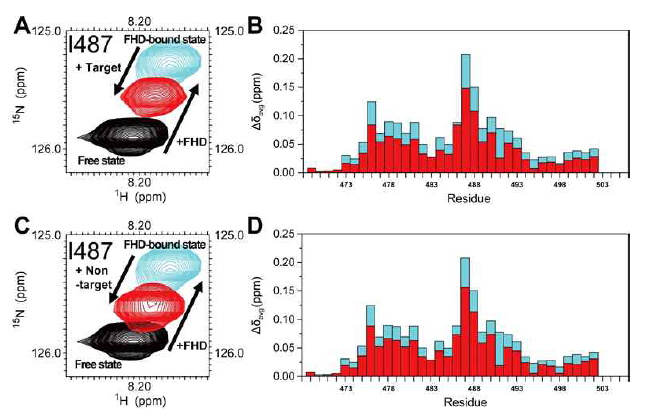 TAD 의 I487 1H-15N peak. blue: TAD-FHD 1:1 mixture, black: TAD only, red: TAD-FHD 1:1 mixture에 (A) target DNA (0.5 molar ratio) 적정 (C) non-target DNA (0.5 molar ratio) 적정. (B, D) TAD residue 별 CSP plot. Blue: FHD 적정 (1 molar ratio), red: TAD-FHD 1:1 mixture 에 (B) target DNA (0.5 molar ratio) 적정. (D) non-target DNA (0.5 molar ratio) 적정