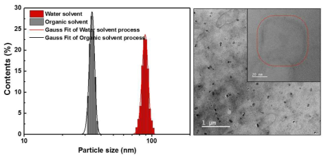 Dynamic Light Scattering으로 분석한 각 solvent system의 입자 크기 분포와 Transmission Electron Microscopy로 확인한 실제 입자 크기