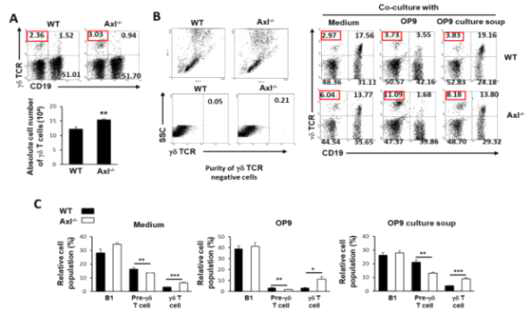 Axl 유전자 결핍에 따른 감마델타 T 전구세포의 분화 촉진