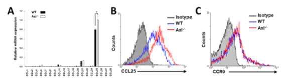 Axl 결핍에 의한 CCL25 chemokine의 발현 증가