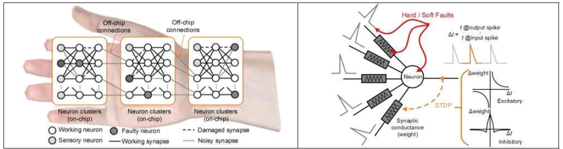 (a) E-skin SNN 구조 (b) E-skin SNN의 오류 모델