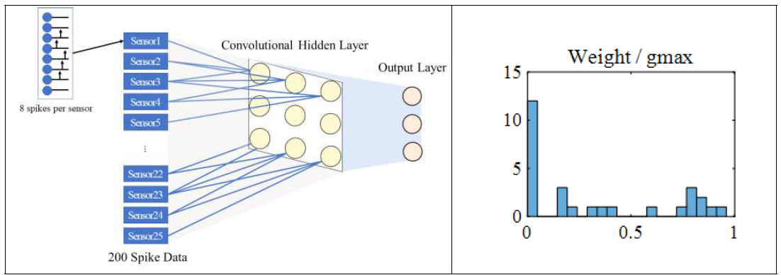 (a) 단층 구조의 Convolutional spiking neural network (b) 학습 후 가중치 분포도