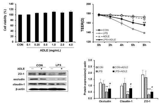 LPS로 유도된 Caco-2 세포에 대한 ADLE의 TEER과 접합 단백질의 변화