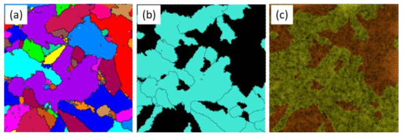 미세조직 이미지를 통한 요소화 과정. (a) EBSD 분석을 통한 미세조직 이미지 (Grain ID) (b) 미세조직 이미지를 통한 상분리 결과, 검은색 영역은 베이나이트, 나머지 영역은 페라이트를 나타냄. (c) 미세조직 이미지를 통해 생성된 대표 체적 요소