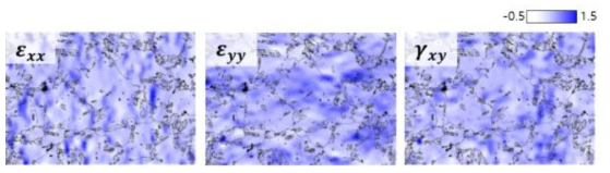 변형률 10%에서 분석된 미세조직의 국부 변형률 맵