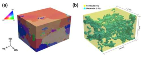 확보한 미세구조 기반 RVE. (a) IPF (ND) map. (b) Phase map