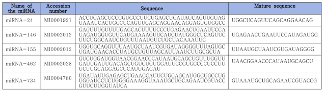 Description of miRNAs and mature sequences for synthesis of miRNA mimics