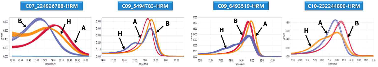 중균주(HS)를 이용하여 최종적으로 선발된 풋마름병 저항성 QTL 주변에 가깝게 연관된 HRM 분자표지
