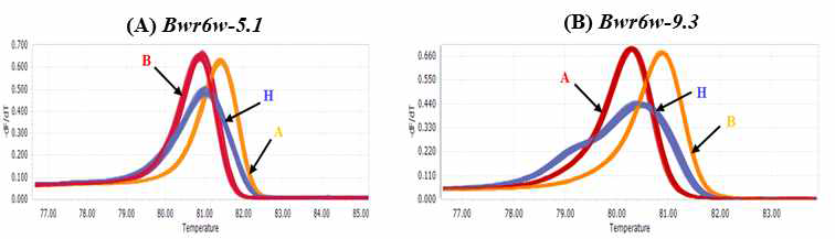 강균주(HWA)를 이용하여 최종적으로 선발된 풋마름병 저항성 QTL 연관 HRM 분자표지. (A) C05_224016474-HRM; (B) C09_3459440-HRM
