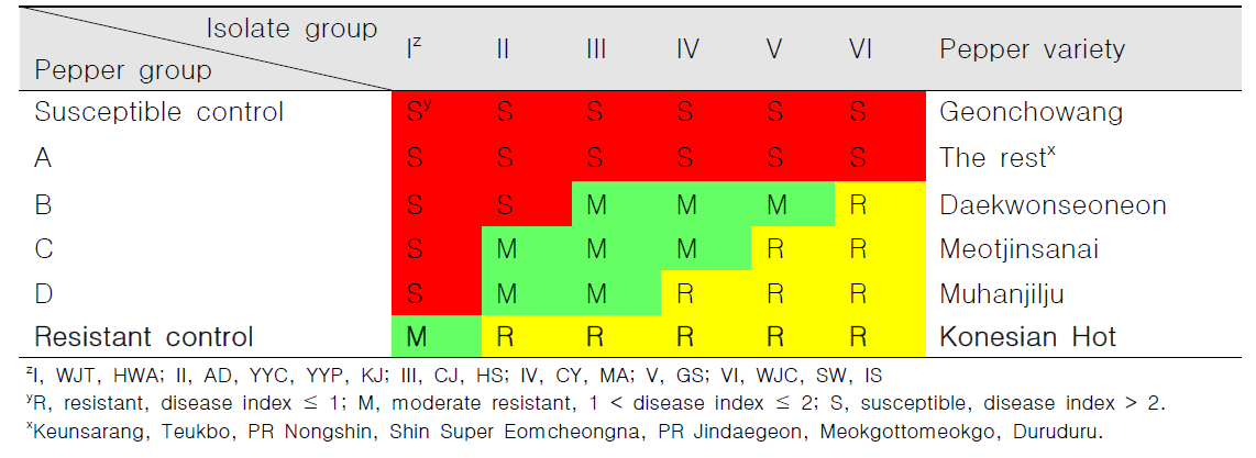 Interaction between chili pepper varieties and Ralstonia solanacearum isolates