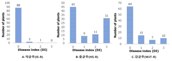 풋마름병 저항성 ‘코네시안 핫’고추 품종의 F2 분리집단에서 병원성이 다른 세 가지 병원균(IS, HS, WJT)을 이용한 병저항성 분리비 분석