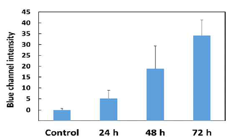 바이오리액터에서 배양한 LNCaP의 H2S 분비량 변화 (24, 48, 72시간)