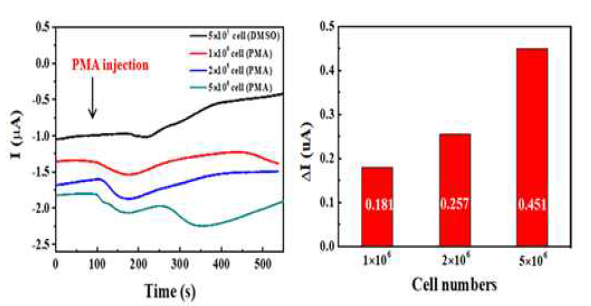 LNCaP 세포 수에 따른 PtNPs/MWCNT/rGO/PtNPs/SPCE의 Amperometric i-t curve, (b) LNCaP 세포 수에 따른 과산화수소 발생량에 의한 ΔI 값 변화