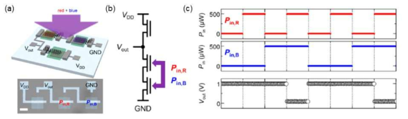 (a) 적색+청색 혼합 빛에 대해 선택적 광신호 처리가 가능한 Schottky장벽 제어형 소자기반 NAND 논리 회로 scheme과 실제 제작된 소자 사진, (b) 회로 scheme, (c) NAND회로 처리결과