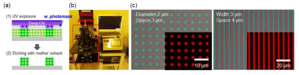(a) 포토마스크를 사용한 양자점 박막 패터닝 scheme, (b) 사용된 마스크 얼라이너 사진, (c) 포토마스크 설비를 이용해 형성한 고해상도 양자점 원형/선형 패턴의 광학/형광 이미지