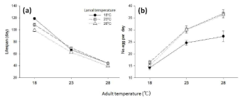 3가지 각기 다른 발육온도(larval temperature, 18, 23, 28℃)에서 성장한 개체들을 3가지의 주변 온도(adult temperature, 18, 23, 28℃)에 노출시킨 조건에서의 (a) 수명과 (b) 산란율을 보여주는 그래프(평균±표준오차)