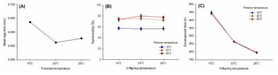 3가지의 온도(18, 23, 28℃)에서 자란 (A) 부모세대 초파리의 알 크기, (B) 자식세대의 알에서 성충까지의 생존율, (C) 발달시간을 보여주는 그래프(평균±표준오차)