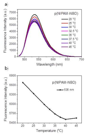 p(NIPAM-NBD-SP) nanogel의 온도구간별 형광세기