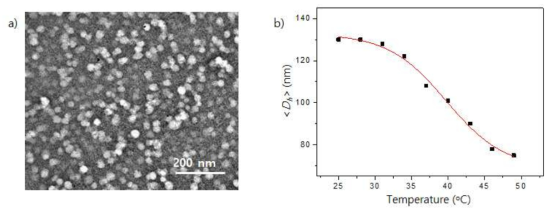 (a) p(NIPAM-NBD-SP) nanogel의 전자현미경 사진과 (b) 수용액상에서의 온도변화에 따른 hydrodynamic diameter