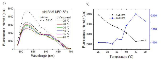 a) p(NIPAM-NBD-SP) nanogel의 온도별 emission 파장 범위와 세기, b) 525와 620nm에서의 형광 세기 비교