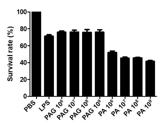 Macrophage를 이용한 MTT 세포독성 결과