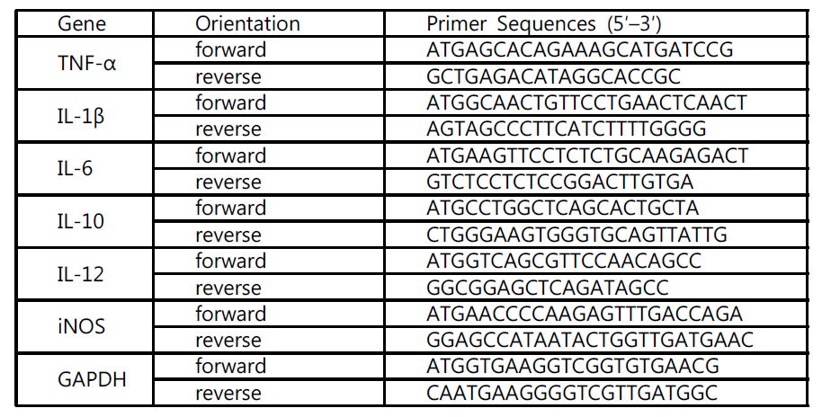 Primer sequence of the targeted genes in RT-qPCR