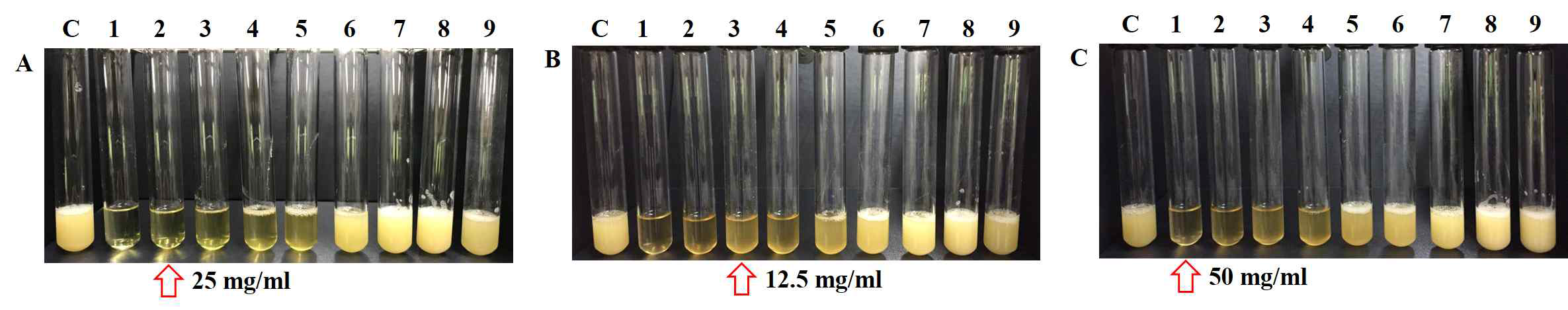 세 종류의 화합물에 대한 P, acnes 균의 MIC 결정. NaOH(A), HCl(B), H2SO4(C)