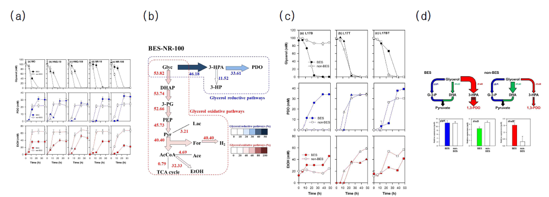 dhaB 과발현 균주의 대사경로 변화 (a) 전자전달체의 종류에 따른 metabolite생산, (b) 전극에 의한 대사경로 변화 분석, (c) BES와 non-BES의 비교, (d) 글리세롤 전환의 주요 효소의 과발현에 의한 영향평가