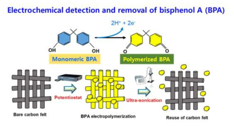 전기화학적 bisphenol A분석