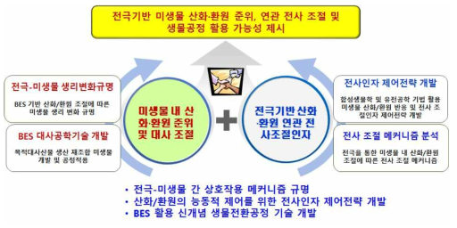 연구의 개요 및 목표