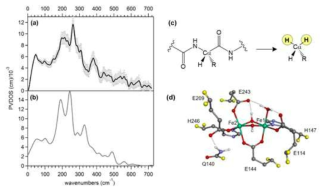 (a) resting state MMOH의 NRVS spectrum, (b) (a)에 대한 DFT simulation, (C) DFT 활성자리 구조 모델링, (d) MMOH ox에 대해 얻어진 DFT 구조