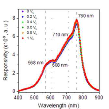 파장에 따른 광응답성
