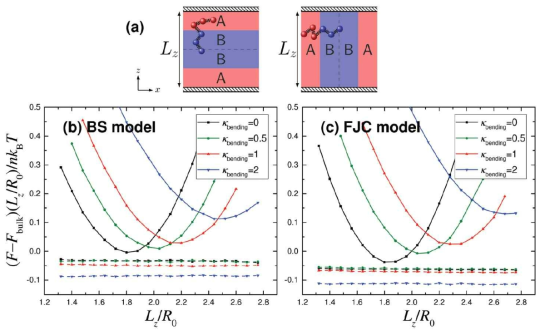 (a) AB 블록공중합체가 L2 두께의 중립적인 벽 사이에 있을 때의 모식도. (b) BS 모델의 자유에너지 그래프. 실선은 벽에 평행한 라멜라, 점선은 벽에 수직한 라멜라의 경우이다. (c) FJC 모델의 자유에너지 그래프