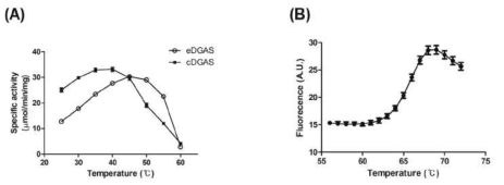 C. glutamicum에서 발현된 DGAS의 최적 반응 온도(A)와 열안정성 (B)