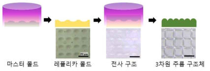 레플리카 몰딩 방식으로 전사한 3차원 구조체