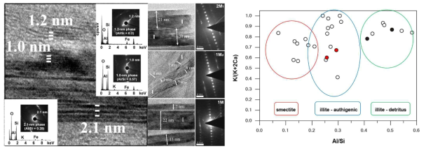 TEM, SAED pattern 분석, 및 EDX를 통한 성분비 분석을 통한 열 속성 작용에 의한 일라이트의 형성과 미생물에 의한 S-I 상전이 반응을 비교 분석