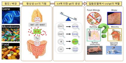 연구의 개요