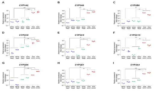 성체간세포(PHH, donor 2종), 인간 역분화줄기세포 유래 간세포(hiPSC-Hep, 세포주 2종) 및 배아줄기세포 유래 간세포(hESC-Hep, 세포주 2종)간 약물대사효소 유전자의 발현 비교
