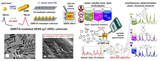 GNR이 균일하게 도포된 종이 기반 무표지자 표면증강라만산란 광-바이오 센싱 플랫폼을 사용한 독성 화학 물질 현장 진단 키트 연구
